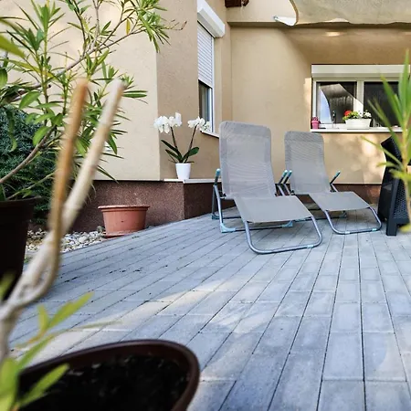 Fekete Orchidea Балатонкенезе