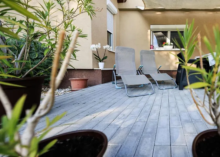 Fekete Orchidea Балатонкенезе